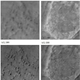 Image for article titled New 'Image Enhance' Lets Satellites See 2-Inch Objects on Mars
